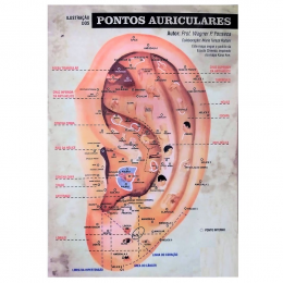 Mapa Ilustração dos Pontos Auriculares P